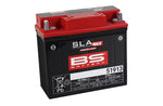 BS Battery 51913 SLA Max Battery