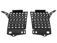 AltRider R1250GS Radiator Guard