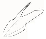 BMW G450X Front Fender Tip