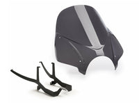 Puig R18 Windshield Kit