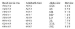 Schuberth Size Chart